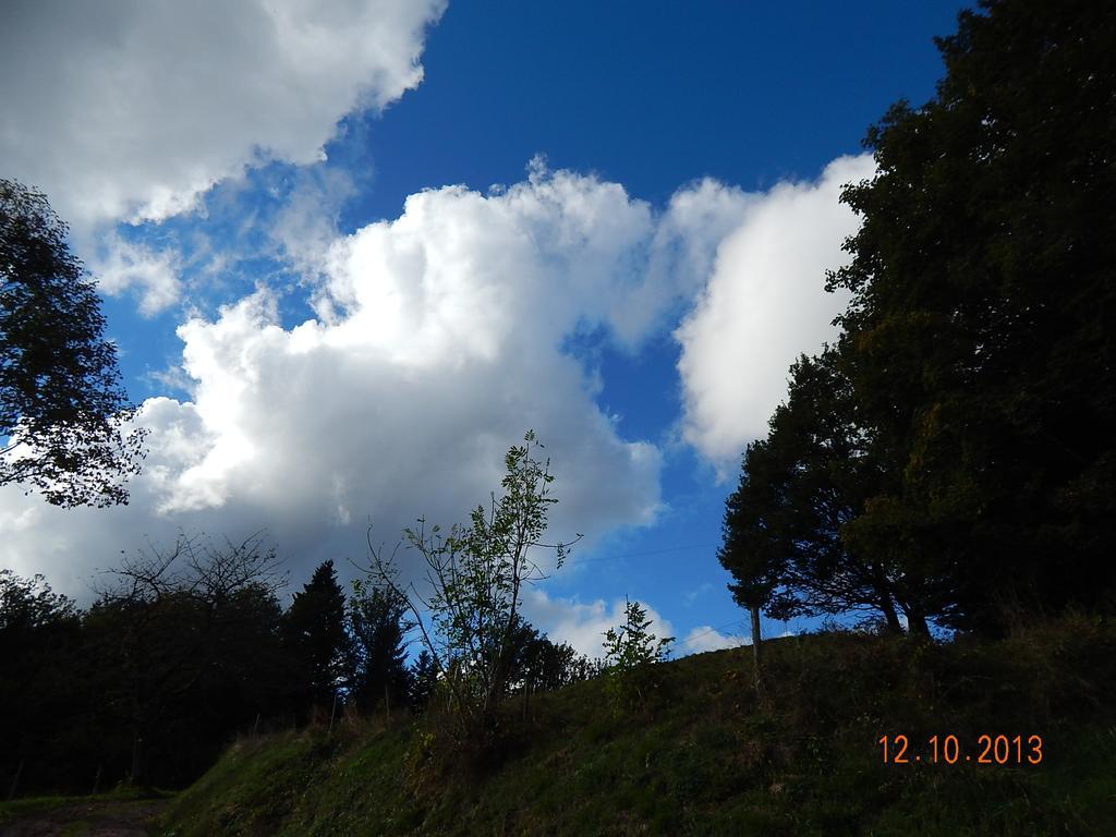 Haus Wiesental Kleines Wiesental ภายนอก รูปภาพ