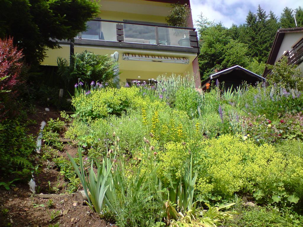 Haus Wiesental Kleines Wiesental ภายนอก รูปภาพ
