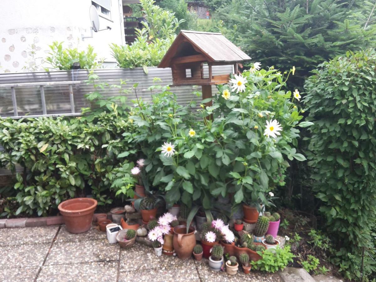 Haus Wiesental Kleines Wiesental ภายนอก รูปภาพ