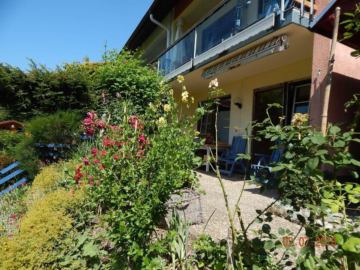 Haus Wiesental Kleines Wiesental ภายนอก รูปภาพ