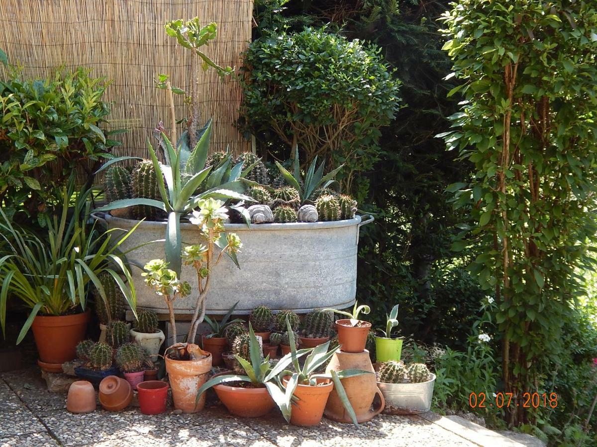 Haus Wiesental Kleines Wiesental ภายนอก รูปภาพ