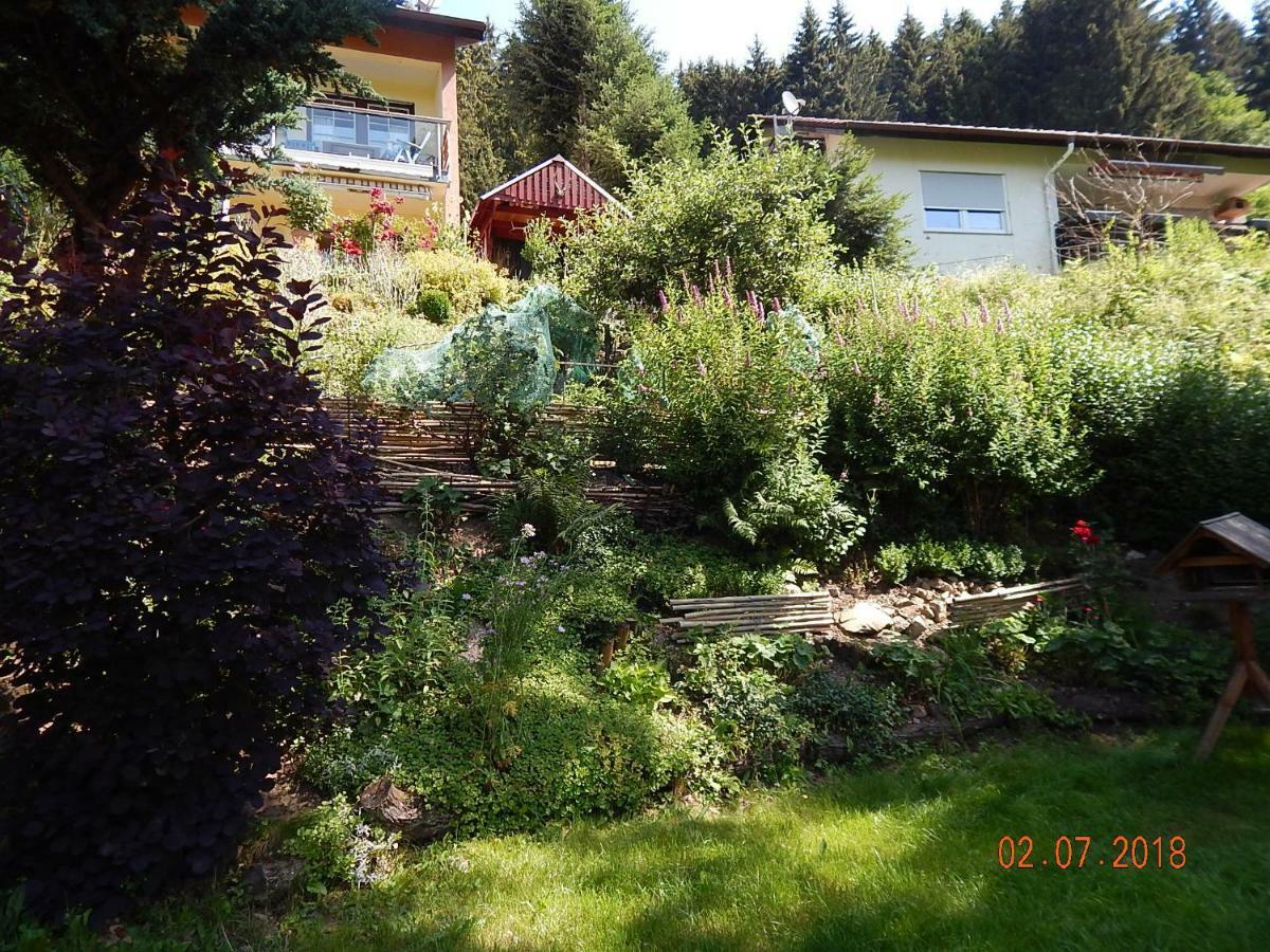 Haus Wiesental Kleines Wiesental ภายนอก รูปภาพ