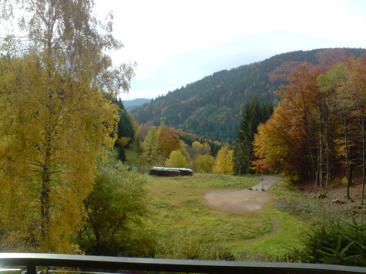 Haus Wiesental Kleines Wiesental ภายนอก รูปภาพ